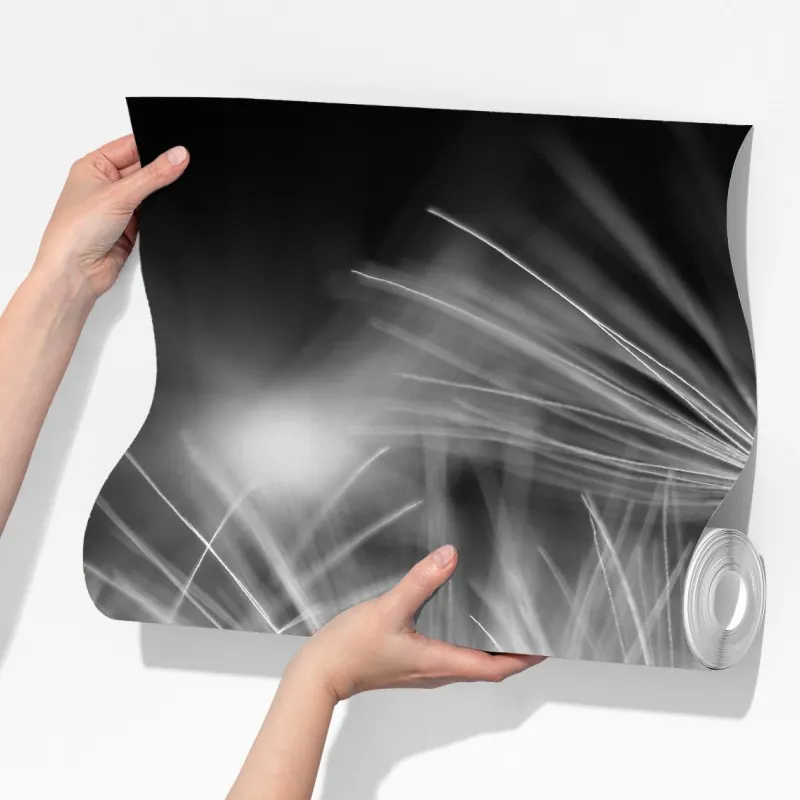 Fototapeta delikatne nasiona dmuchawca czarno-białe – Wallissimo® Fototapeta delikatne nasiona dmuchawca czarno-białe – Wallissimo®