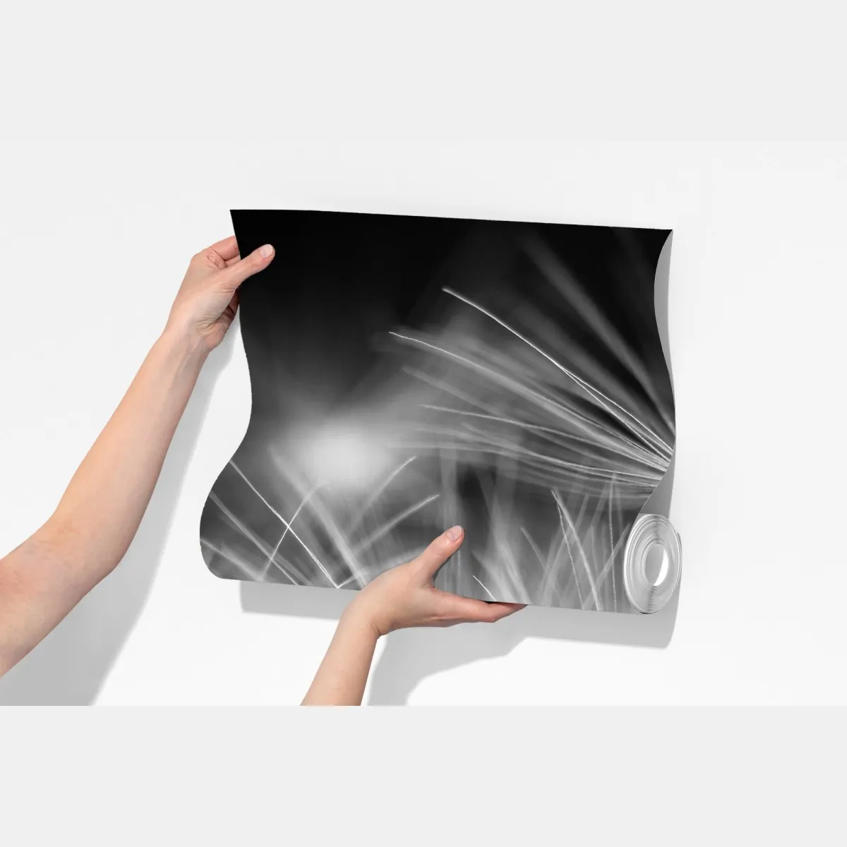 Fototapeta delikatne nasiona dmuchawca czarno-białe – Wallissimo® Fototapeta delikatne nasiona dmuchawca czarno-białe – Wallissimo®