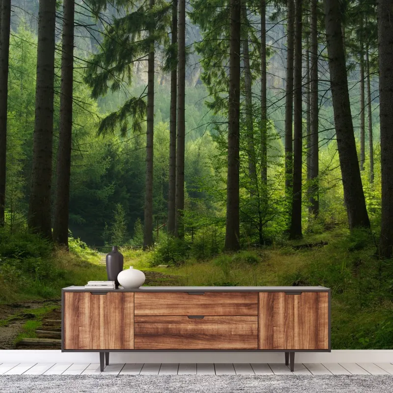 Fototapeta spokojna leśna ścieżka