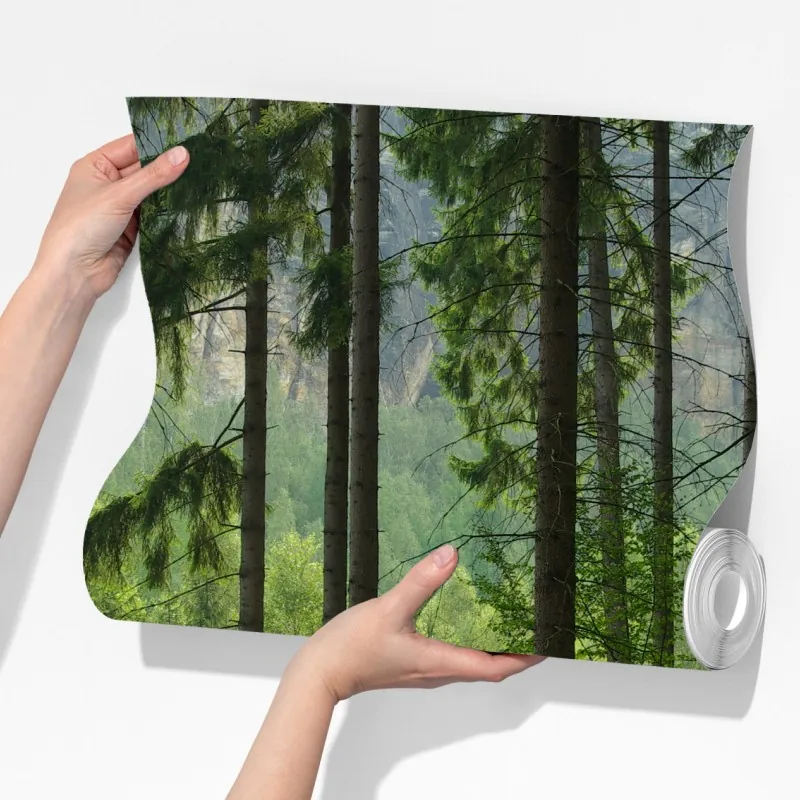 Fototapeta spokojna leśna ścieżka – Wallissimo® Fototapeta spokojna leśna ścieżka – Wallissimo®