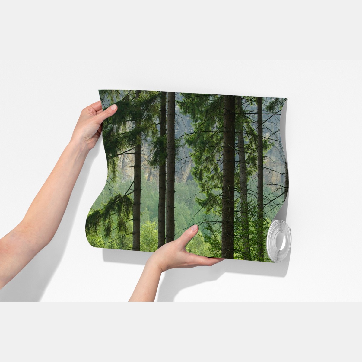 Fototapeta spokojna leśna ścieżka – Wallissimo® Fototapeta spokojna leśna ścieżka – Wallissimo®