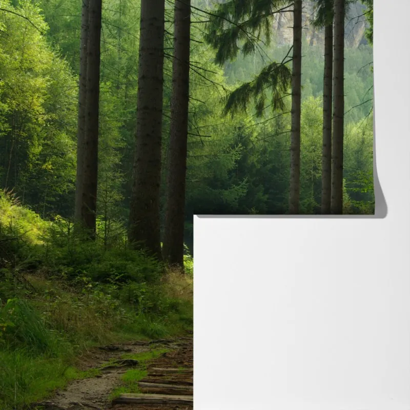 Fototapeta spokojna leśna ścieżka – Wallissimo® Fototapeta spokojna leśna ścieżka – Wallissimo®