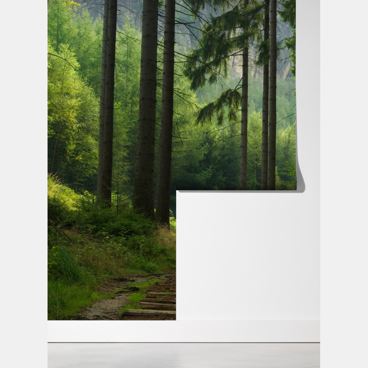 Fototapeta spokojna leśna ścieżka – Wallissimo® Fototapeta spokojna leśna ścieżka – Wallissimo®