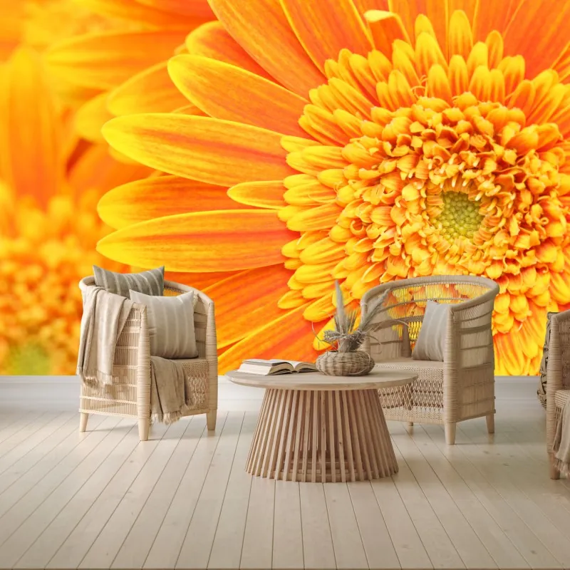 Fototapeta intensywna pomarańczowa gerbera z bliska – Wallissimo® Fototapeta intensywna pomarańczowa gerbera z bliska – Wallissimo®