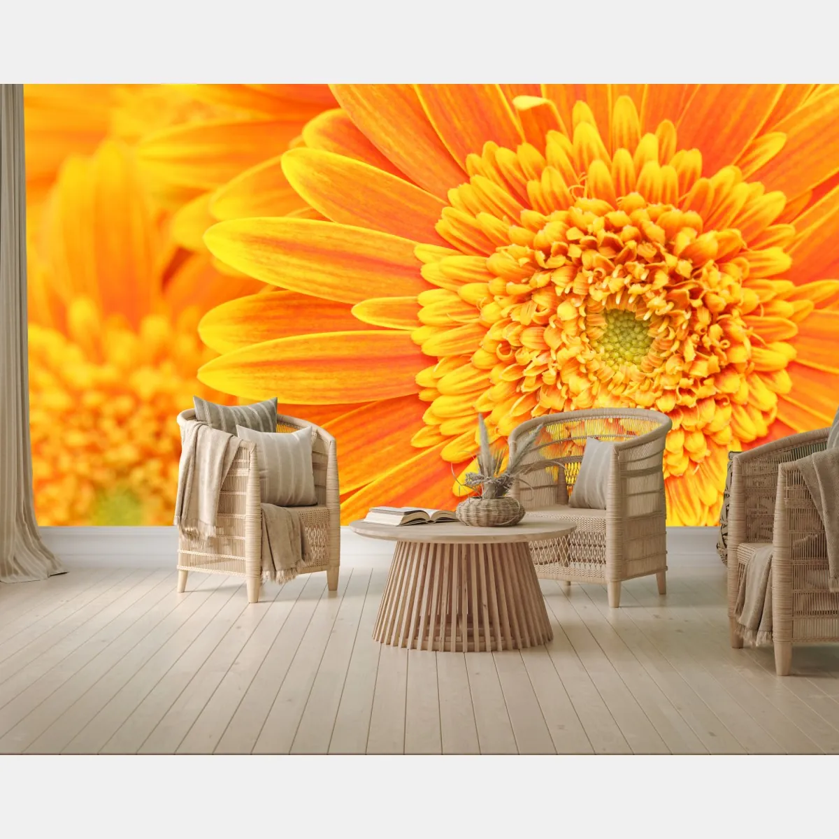 Fototapeta intensywna pomarańczowa gerbera z bliska – Wallissimo® Fototapeta intensywna pomarańczowa gerbera z bliska – Wallissimo®