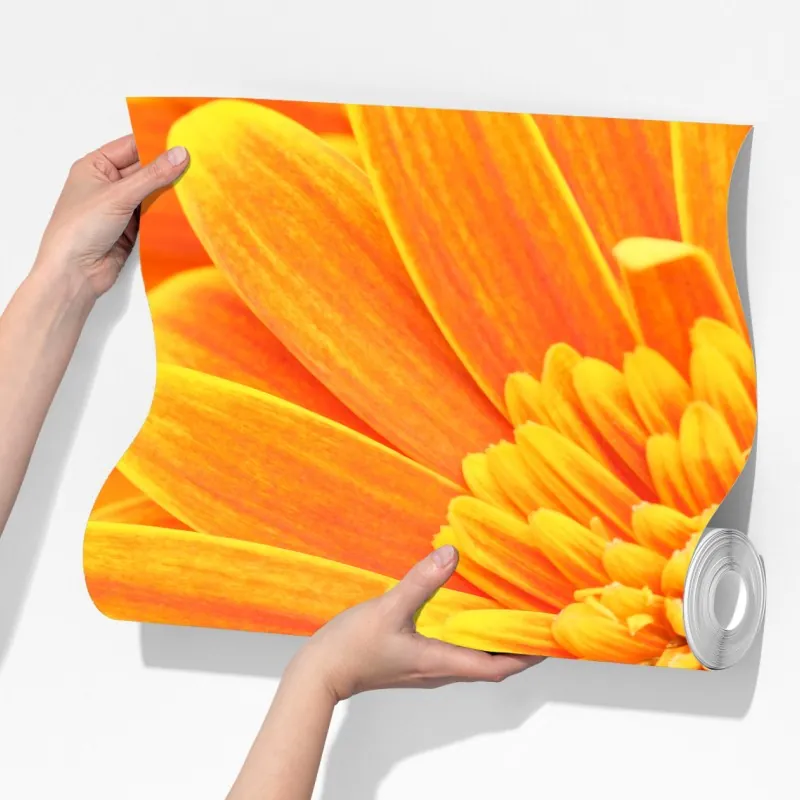 Fototapeta intensywna pomarańczowa gerbera z bliska – Wallissimo® Fototapeta intensywna pomarańczowa gerbera z bliska – Wallissimo®