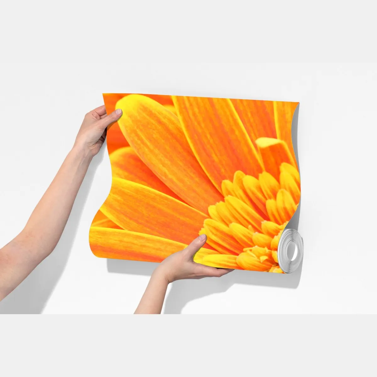 Fototapeta intensywna pomarańczowa gerbera z bliska – Wallissimo® Fototapeta intensywna pomarańczowa gerbera z bliska – Wallissimo®