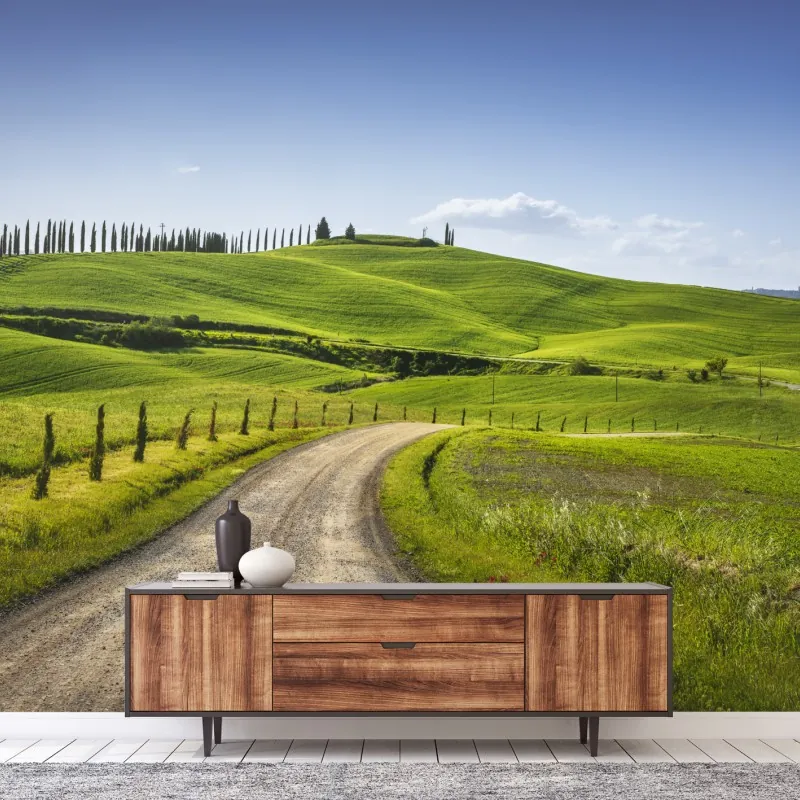 Wall mural Tuscany country road through rolling green hills