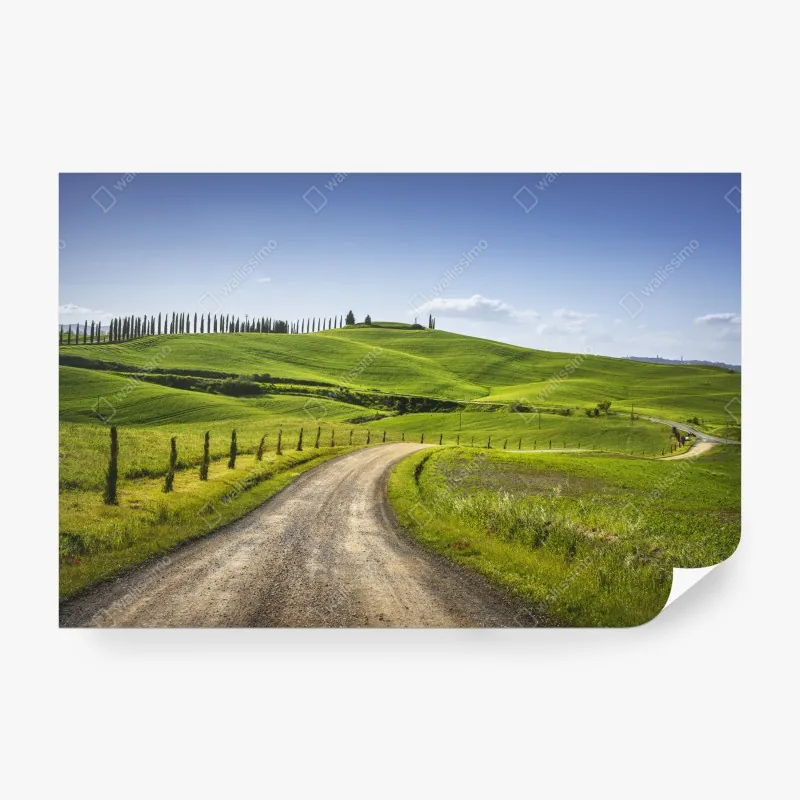 Fototapeta zachód słońca nad wydmami Ameland – Wallissimo®