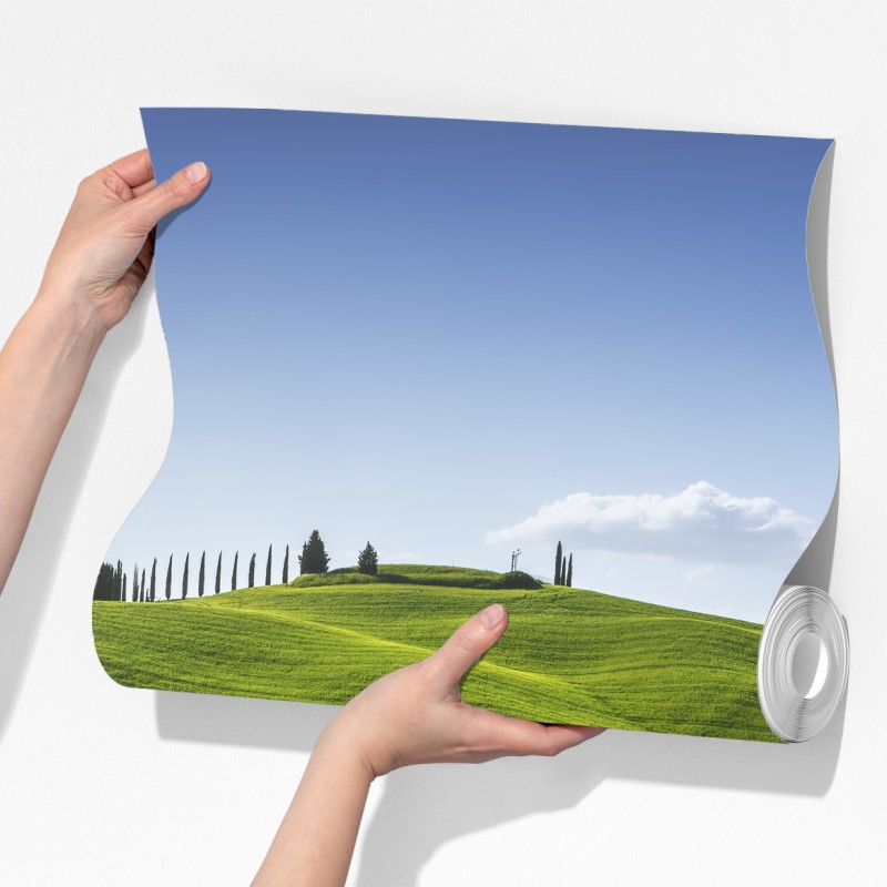 Fototapeta wiejska droga w Toskanii przez zielone wzgórza – Wallissimo® Fototapeta wiejska droga w Toskanii przez zielone wzgórza – Wallissimo®