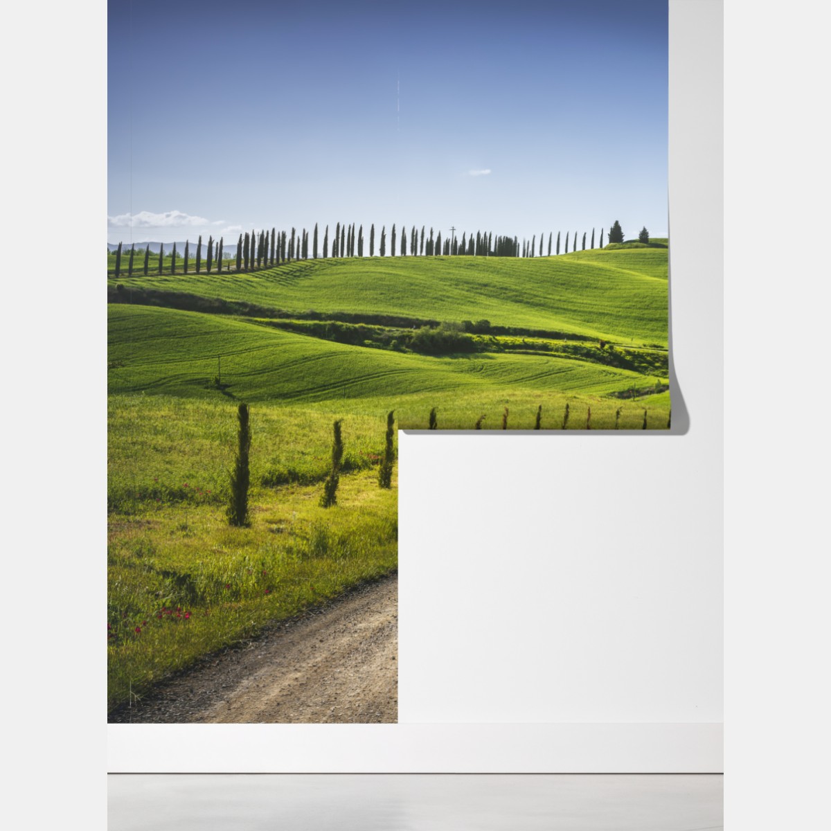 Fototapeta wiejska droga w Toskanii przez zielone wzgórza – Wallissimo® Fototapeta wiejska droga w Toskanii przez zielone wzgórza – Wallissimo®