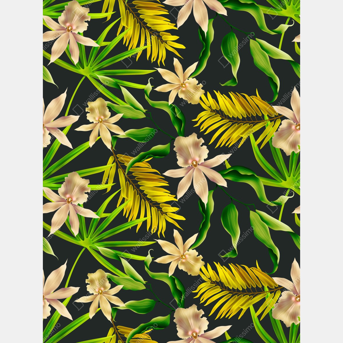 Fototapeta tropikalny wzór storczyków na ciemnym tle – Wallissimo® Fototapeta tropikalny wzór storczyków na ciemnym tle – Wallissimo®