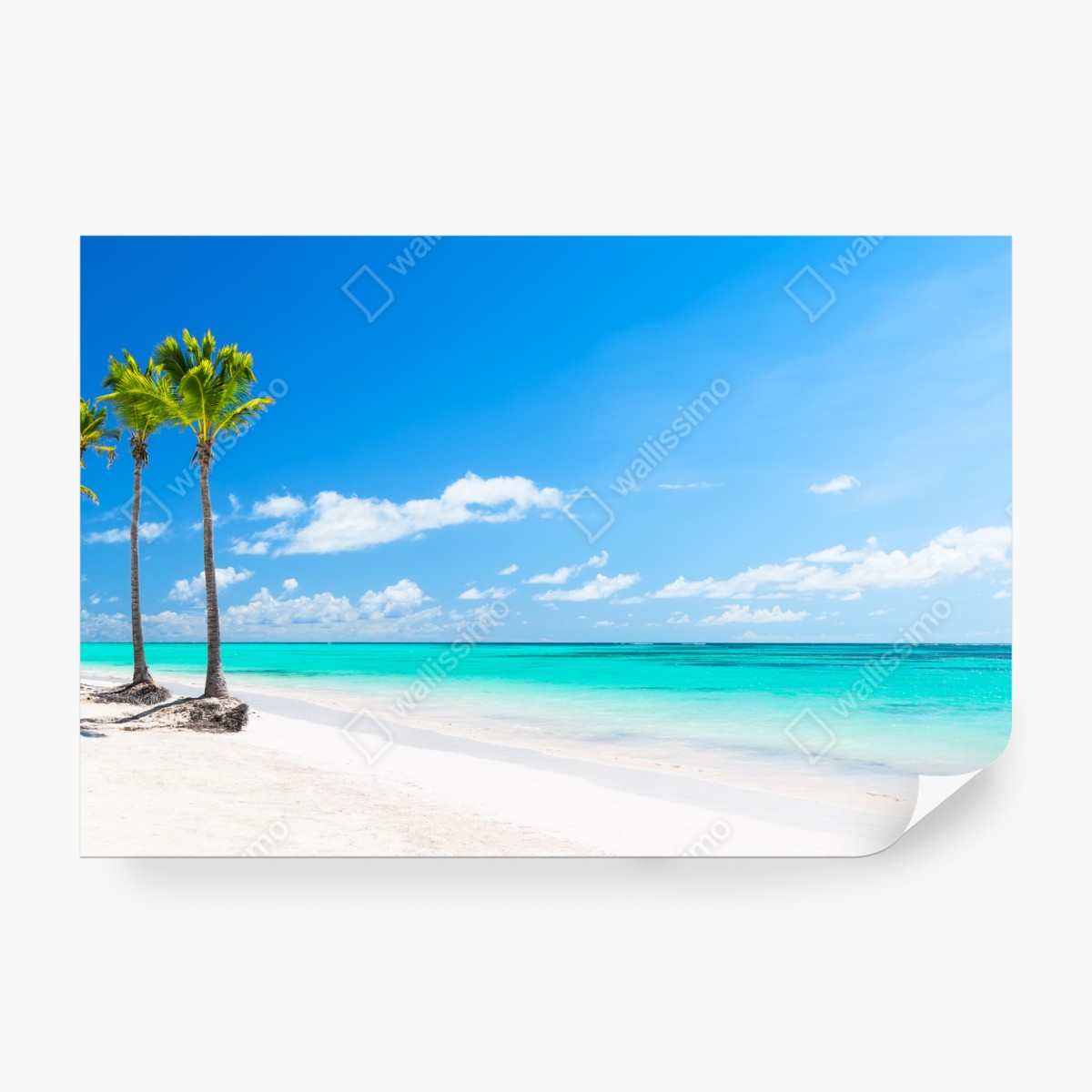 Fototapeta panorama tropikalnej plaży w Punta Cana – Wallissimo® Fototapeta panorama tropikalnej plaży w Punta Cana – Wallissimo®