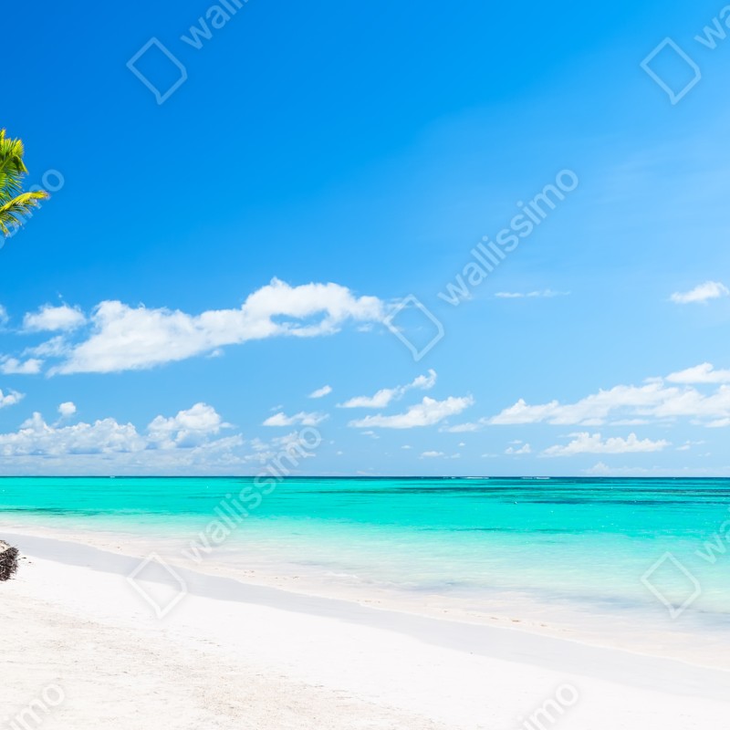 Fototapeta panorama tropikalnej plaży w Punta Cana – Wallissimo® Fototapeta panorama tropikalnej plaży w Punta Cana – Wallissimo®