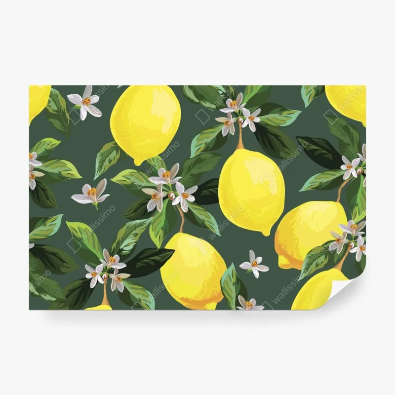 Wall mural lemon blossom botanical print