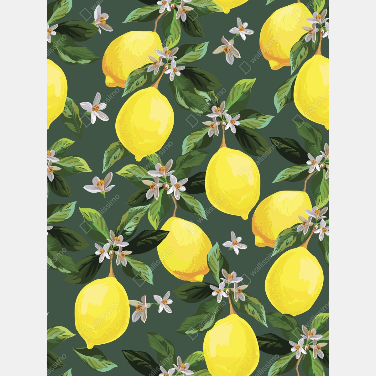 Fototapeta botaniczny wzór z cytrynami – Wallissimo® Fototapeta botaniczny wzór z cytrynami – Wallissimo®