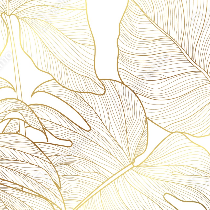 Fototapeta złote botaniczne rysunki liści – Wallissimo® Fototapeta złote botaniczne rysunki liści – Wallissimo®
