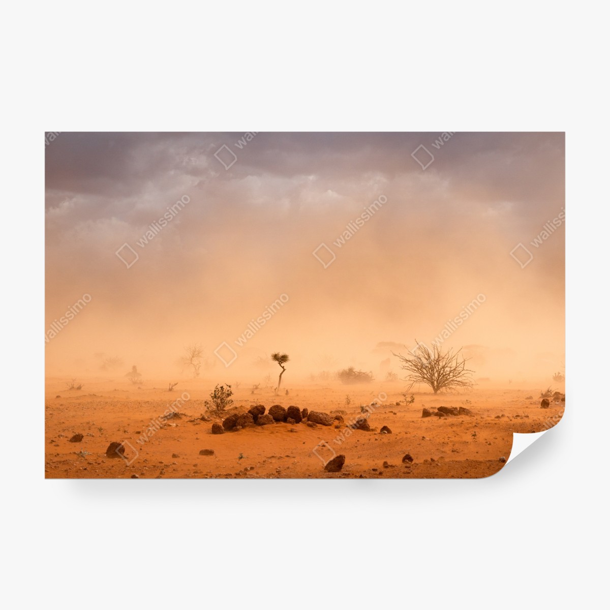 Fototapeta burza piaskowa nad Dollo Ado, Etiopia – Wallissimo® Fototapeta burza piaskowa nad Dollo Ado, Etiopia – Wallissimo®