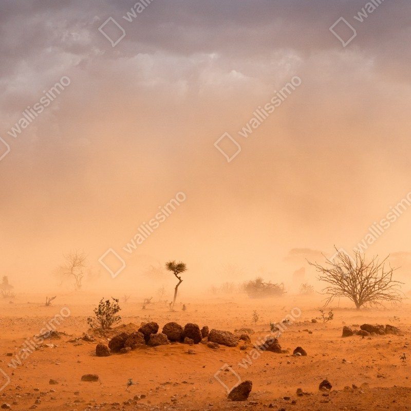 Fototapeta burza piaskowa nad Dollo Ado, Etiopia – Wallissimo® Fototapeta burza piaskowa nad Dollo Ado, Etiopia – Wallissimo®