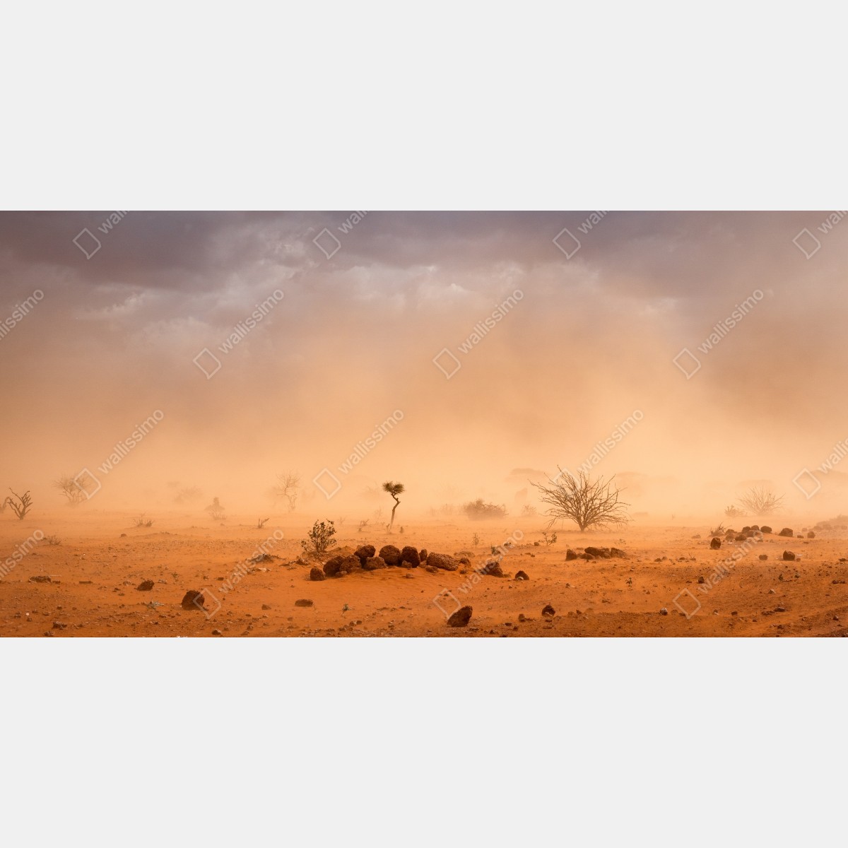 Fototapeta burza piaskowa nad Dollo Ado, Etiopia – Wallissimo® Fototapeta burza piaskowa nad Dollo Ado, Etiopia – Wallissimo®