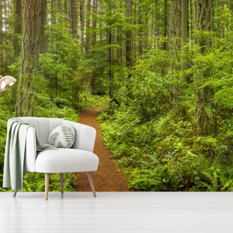 Fototapeta spokojna leśna ścieżka – Wallissimo® Fototapeta spokojna leśna ścieżka – Wallissimo®