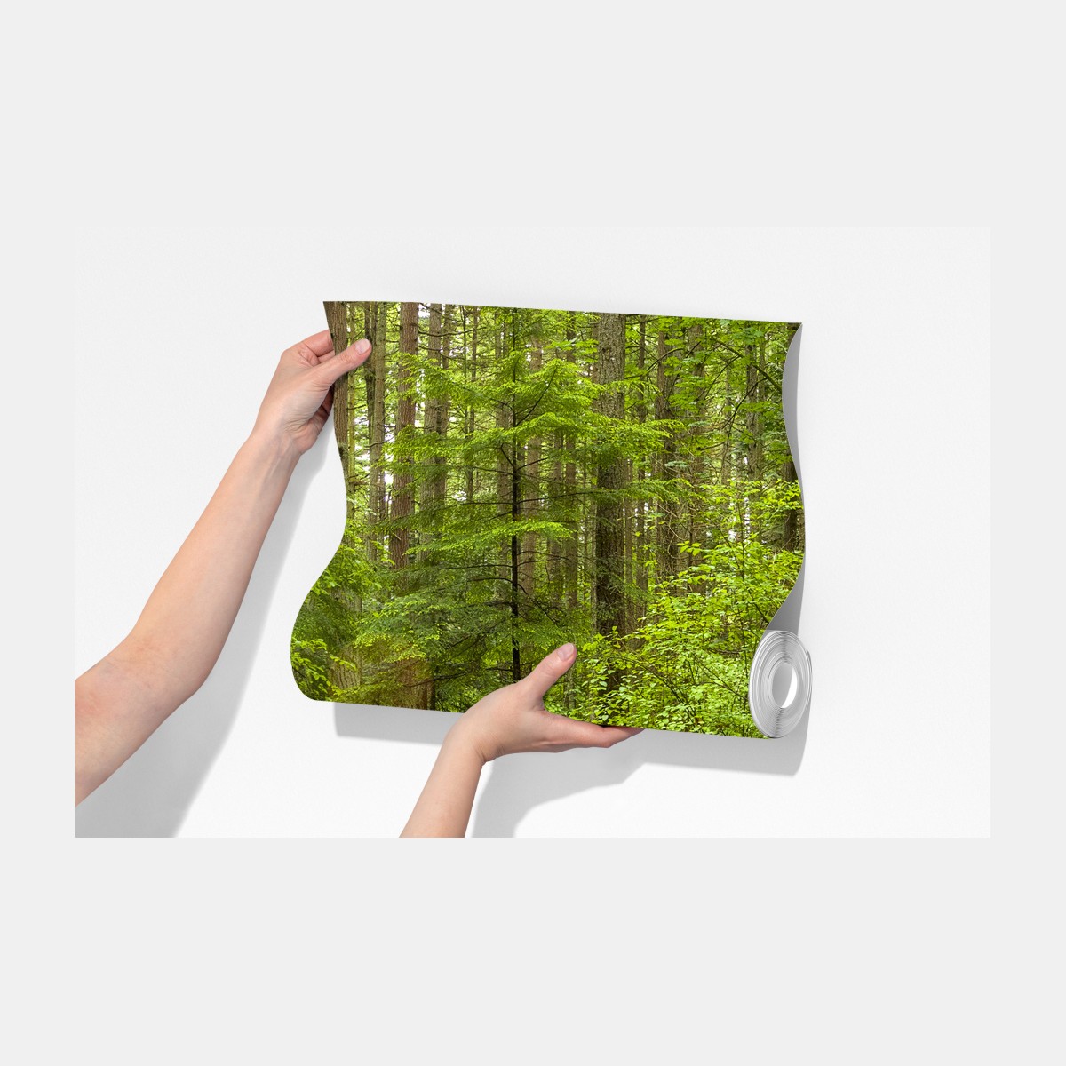 Fototapeta spokojna leśna ścieżka – Wallissimo® Fototapeta spokojna leśna ścieżka – Wallissimo®