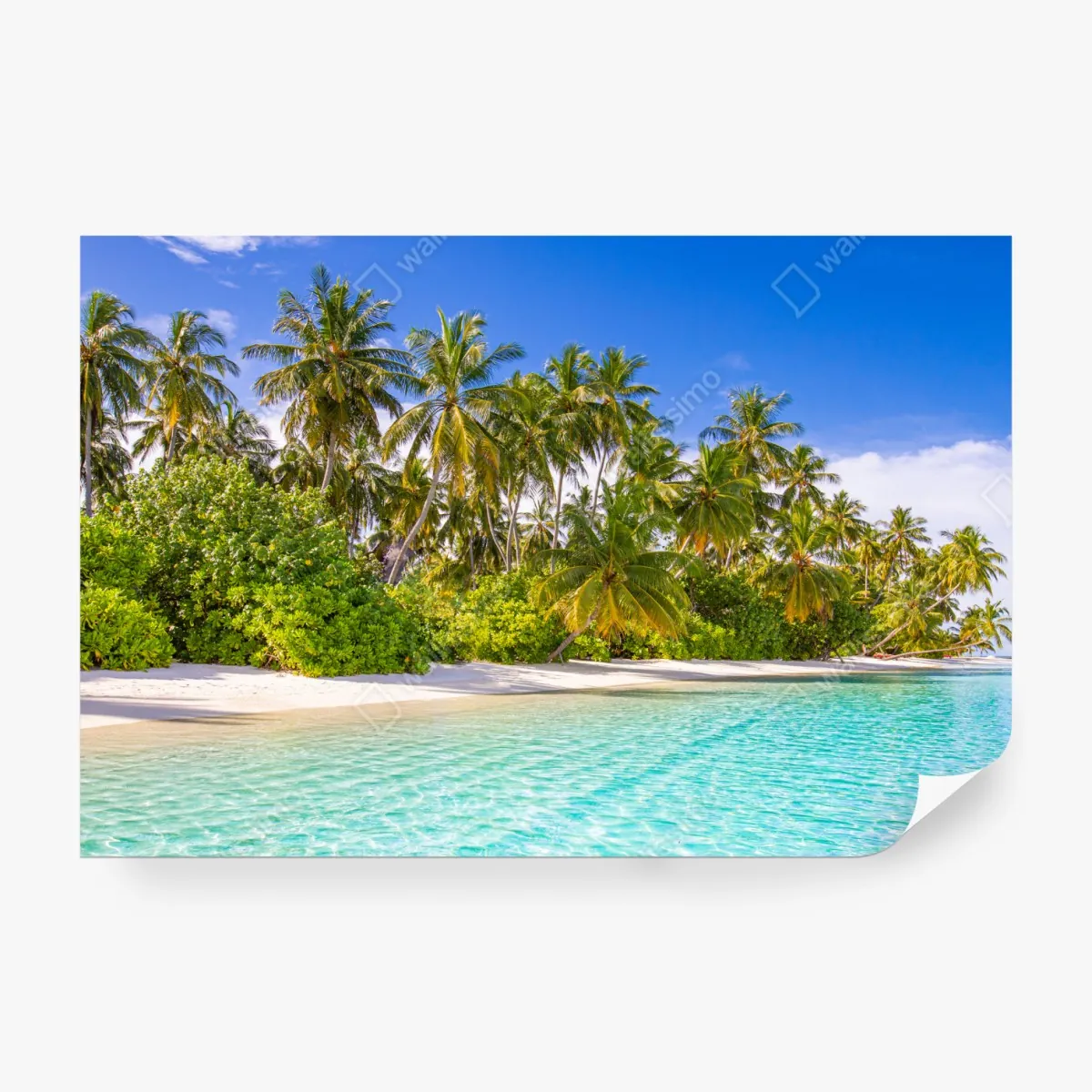 Fototapeta tropikalna plaża z palmami – Wallissimo® Fototapeta tropikalna plaża z palmami – Wallissimo®