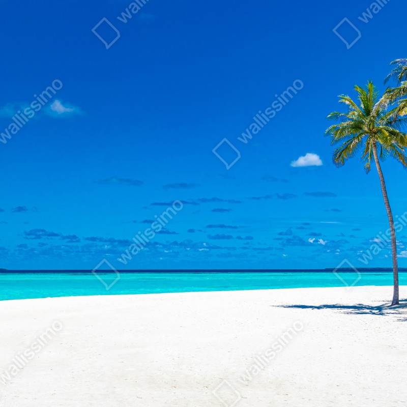 Fototapeta tropikalna turkusowa plaża – Wallissimo® Fototapeta tropikalna turkusowa plaża – Wallissimo®