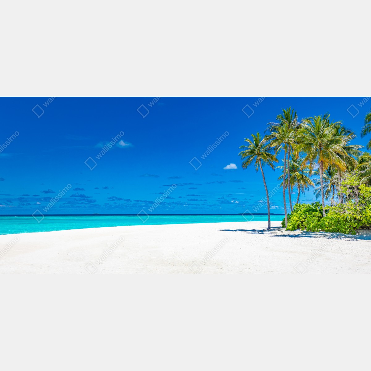 Fototapeta tropikalna turkusowa plaża – Wallissimo® Fototapeta tropikalna turkusowa plaża – Wallissimo®