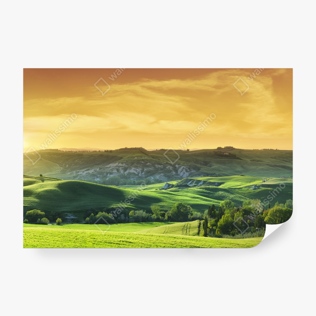 Fototapeta Toskańskie pagórki o zachodzie słońca – Wallissimo® Fototapeta Toskańskie pagórki o zachodzie słońca – Wallissimo®