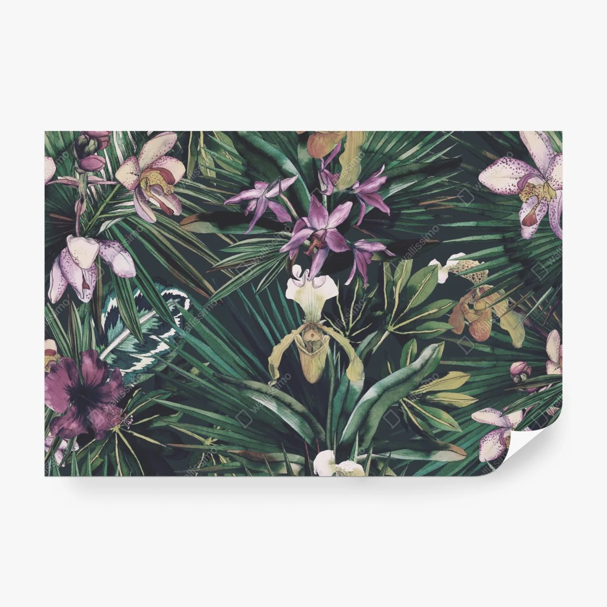Fototapeta tropikalne akwarelowe orchidee i liście palmowe – Wallissimo® Fototapeta tropikalne akwarelowe orchidee i liście palmowe – Wallissimo®