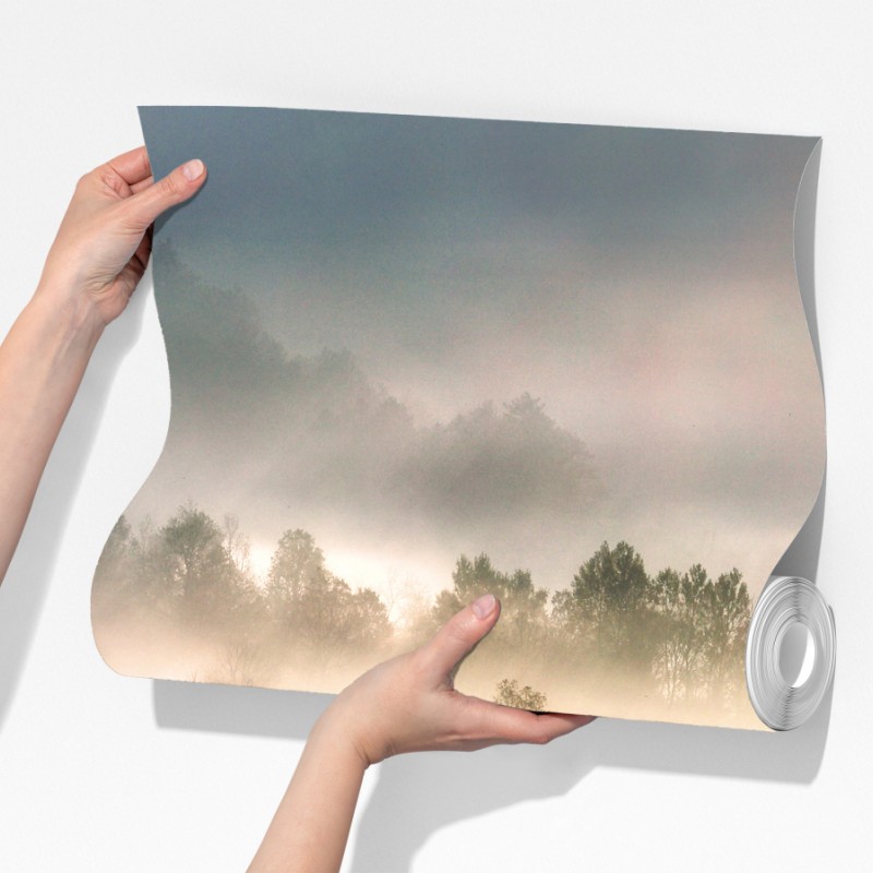 Fototapeta mglisty las o świcie – Wallissimo® Fototapeta mglisty las o świcie – Wallissimo®