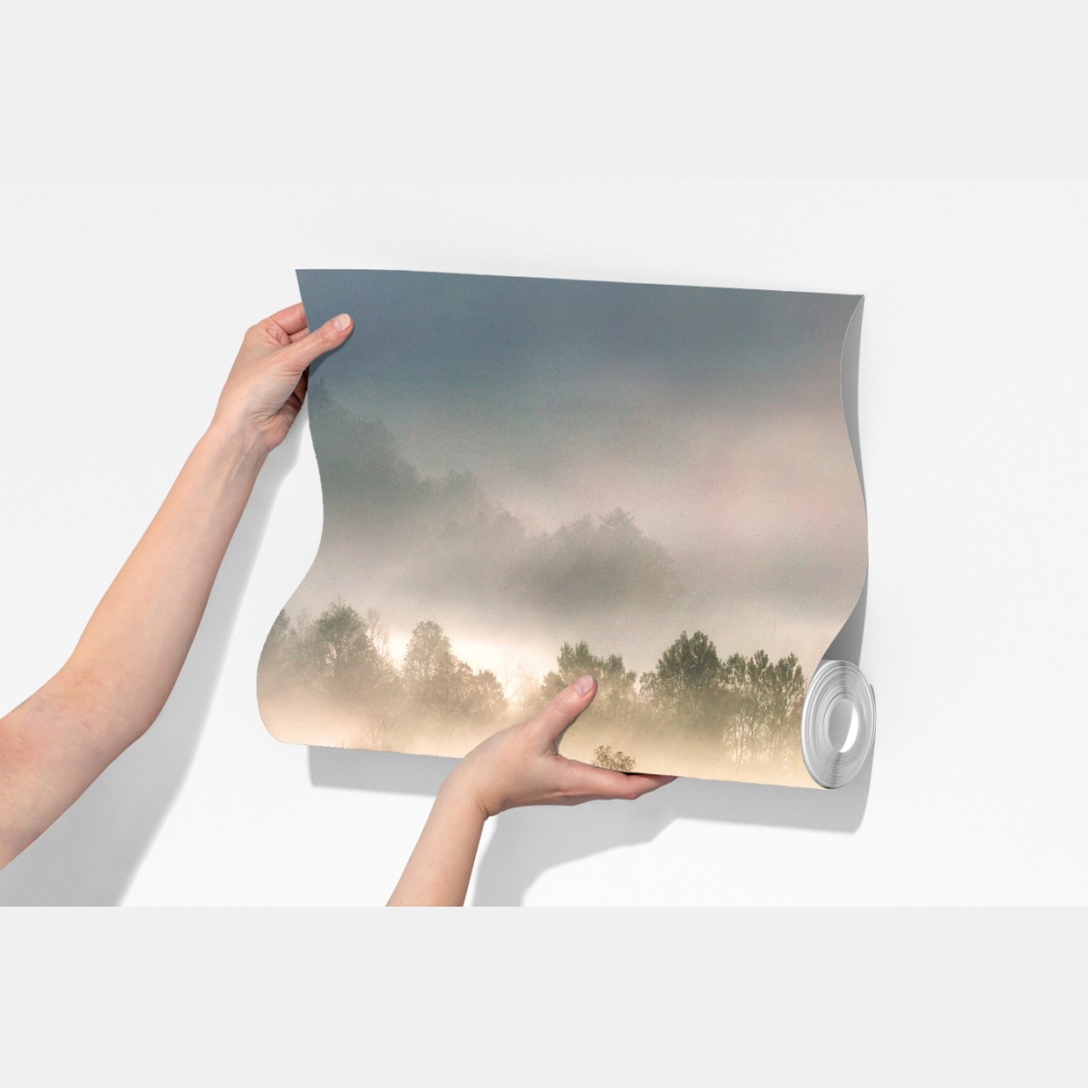 Fototapeta mglisty las o świcie – Wallissimo® Fototapeta mglisty las o świcie – Wallissimo®