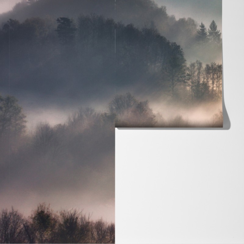 Fototapeta mglisty las o świcie – Wallissimo® Fototapeta mglisty las o świcie – Wallissimo®