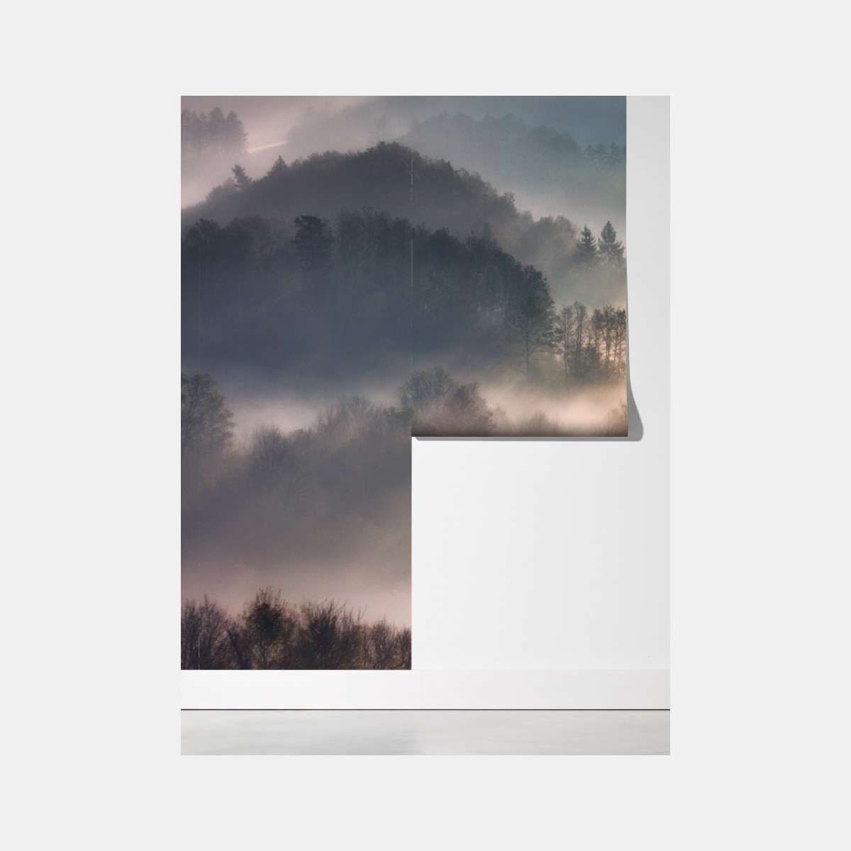 Fototapeta mglisty las o świcie – Wallissimo® Fototapeta mglisty las o świcie – Wallissimo®