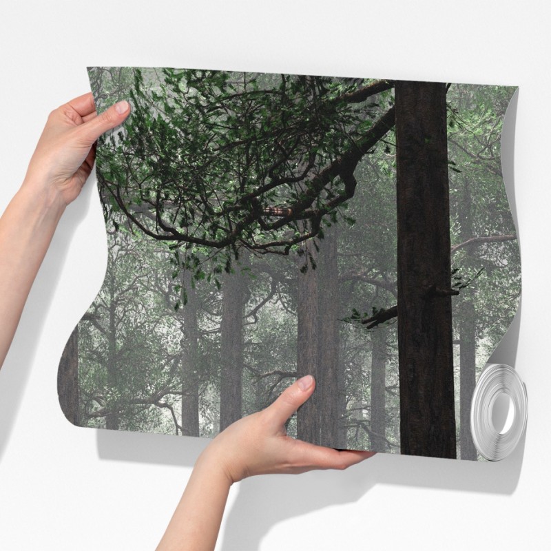 Fototapeta mglisty iglasty las – Wallissimo® Fototapeta mglisty iglasty las – Wallissimo®