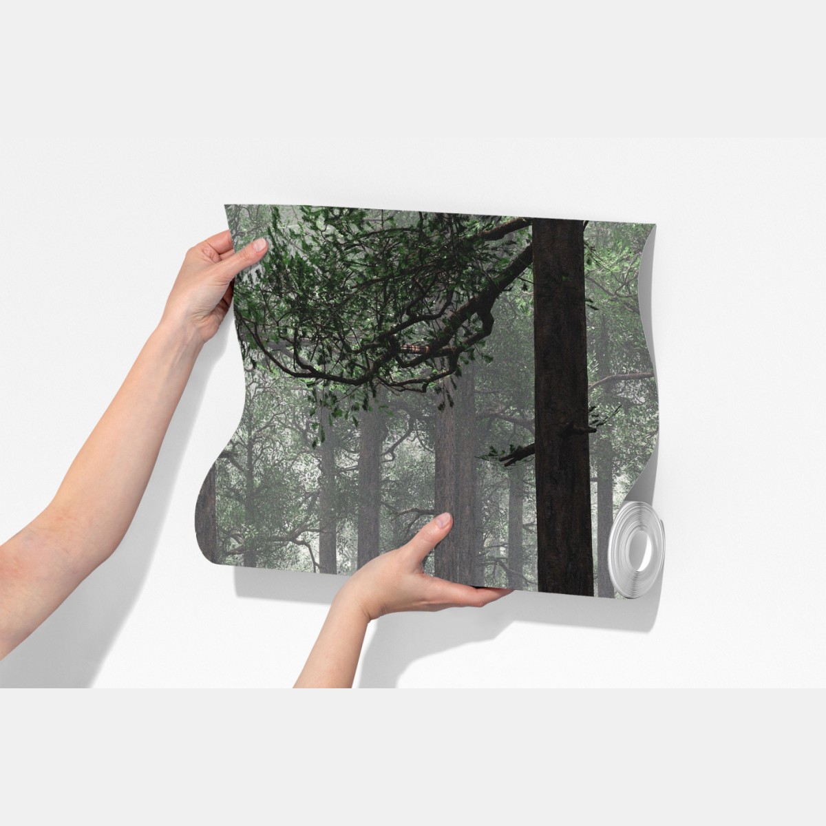 Fototapeta mglisty iglasty las – Wallissimo® Fototapeta mglisty iglasty las – Wallissimo®