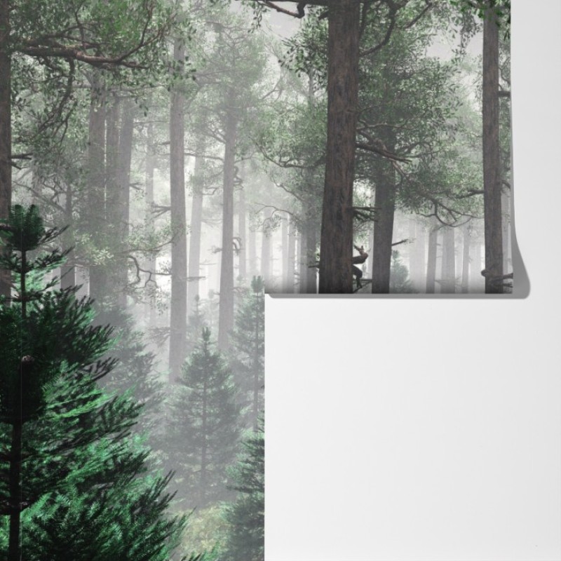 Fototapeta mglisty iglasty las – Wallissimo® Fototapeta mglisty iglasty las – Wallissimo®