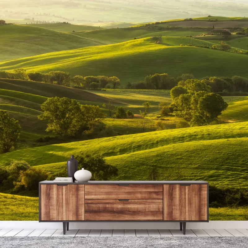 Wall mural sunlit rolling green hills