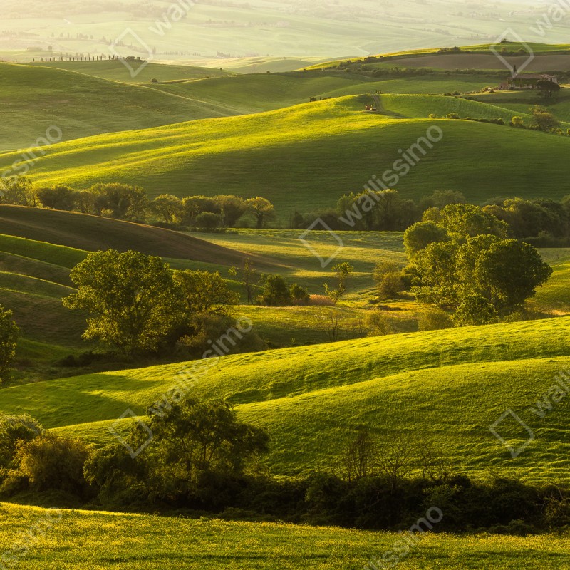 Fototapeta słoneczne zielone pagórki – Wallissimo® Fototapeta słoneczne zielone pagórki – Wallissimo®