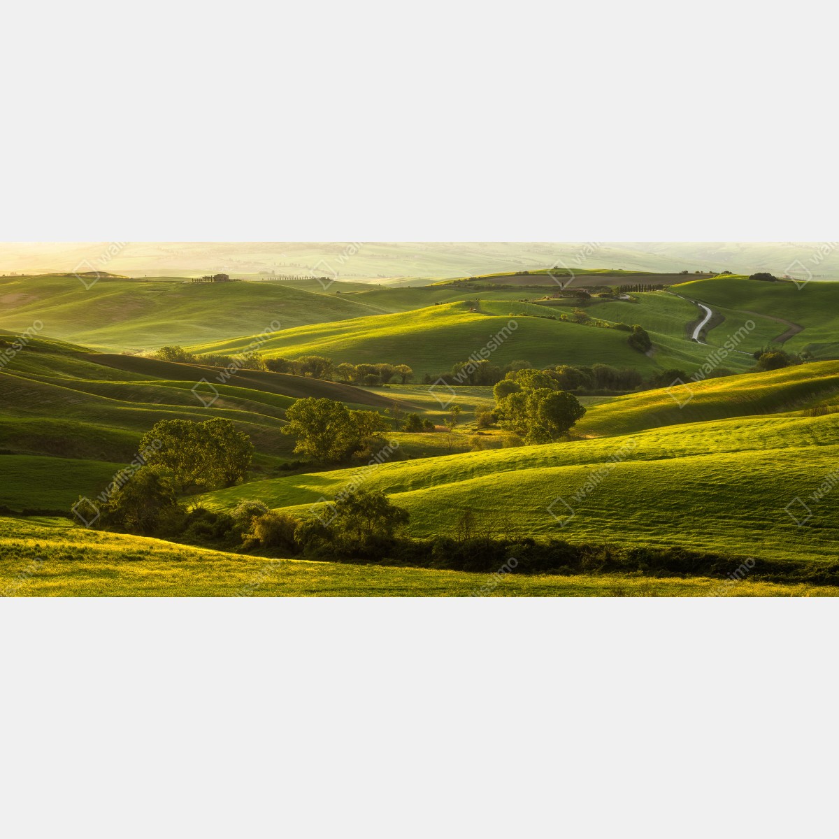 Fototapeta słoneczne zielone pagórki – Wallissimo® Fototapeta słoneczne zielone pagórki – Wallissimo®