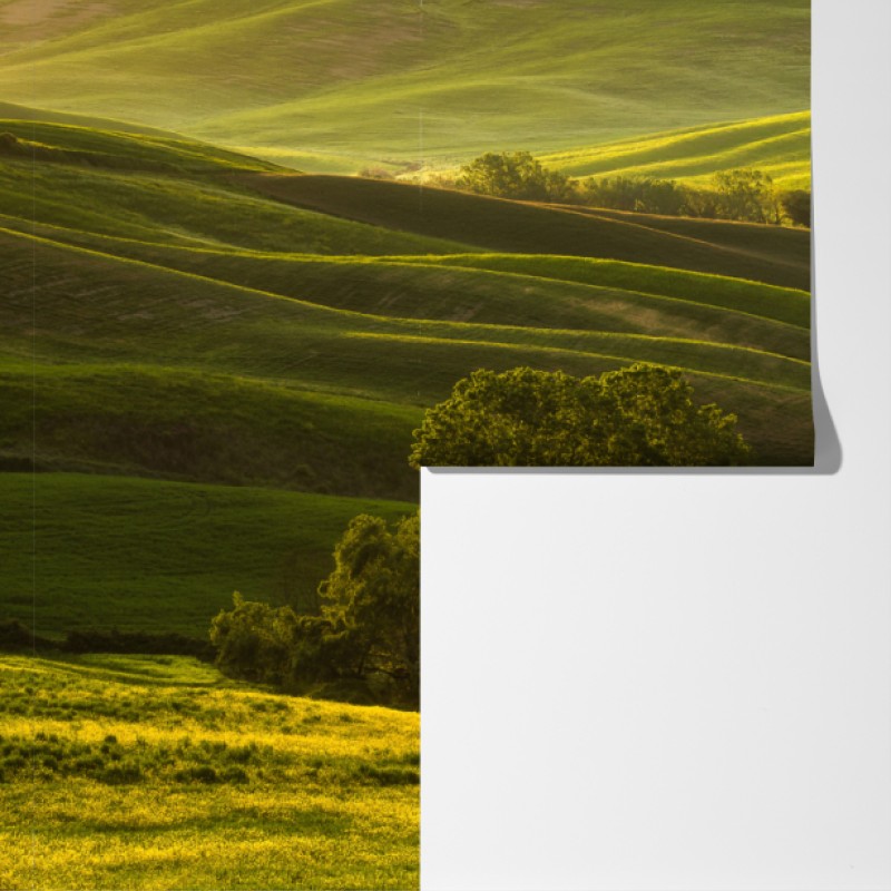 Fototapeta słoneczne zielone pagórki – Wallissimo® Fototapeta słoneczne zielone pagórki – Wallissimo®