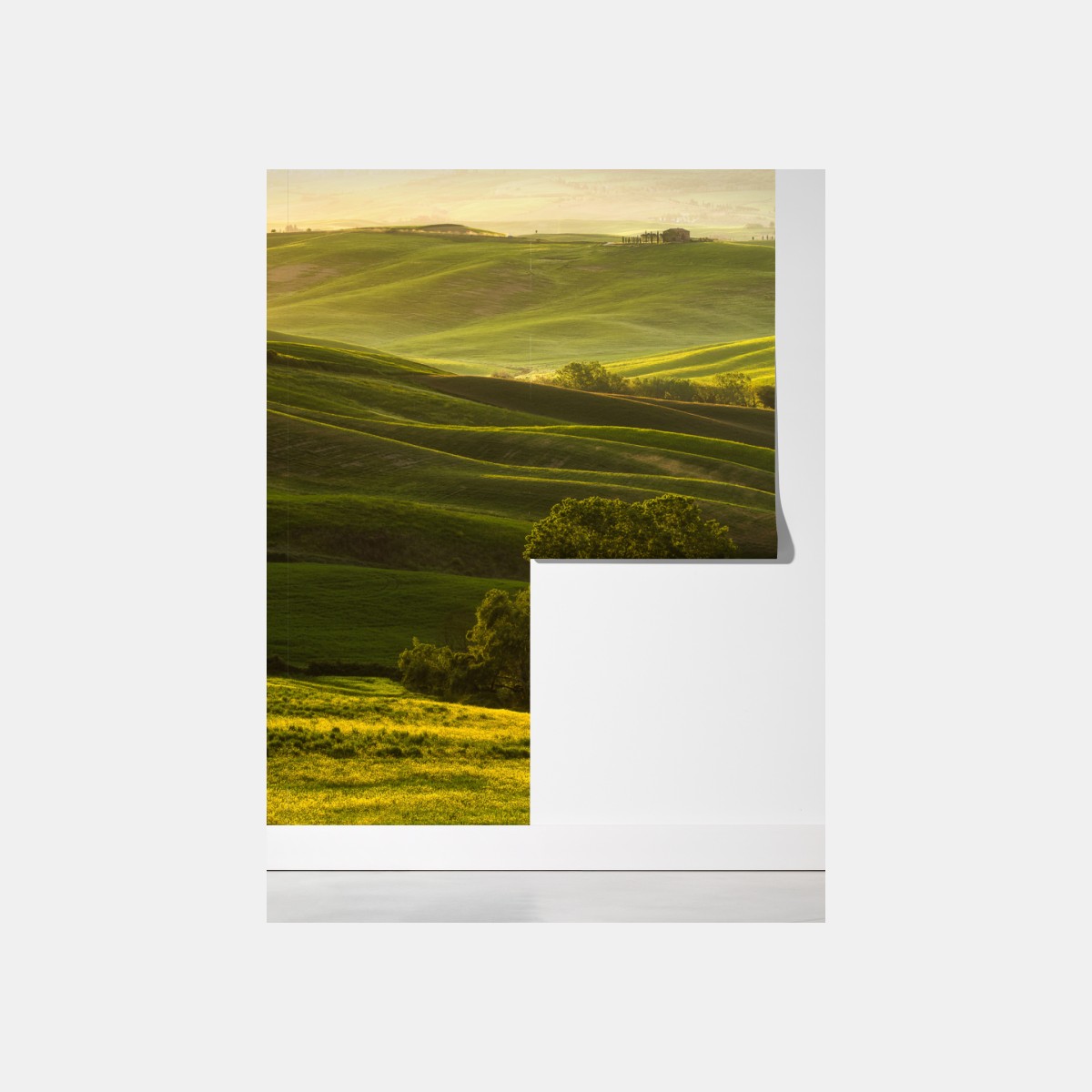 Fototapeta słoneczne zielone pagórki – Wallissimo® Fototapeta słoneczne zielone pagórki – Wallissimo®