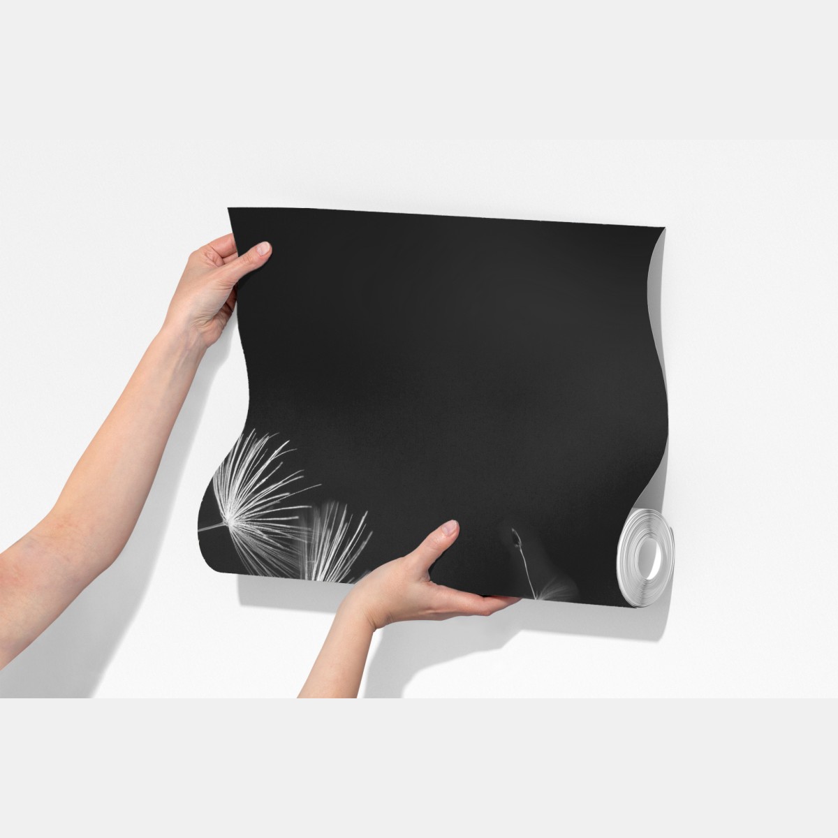 Fototapeta unoszące się nasiona mniszka – Wallissimo® Fototapeta unoszące się nasiona mniszka – Wallissimo®