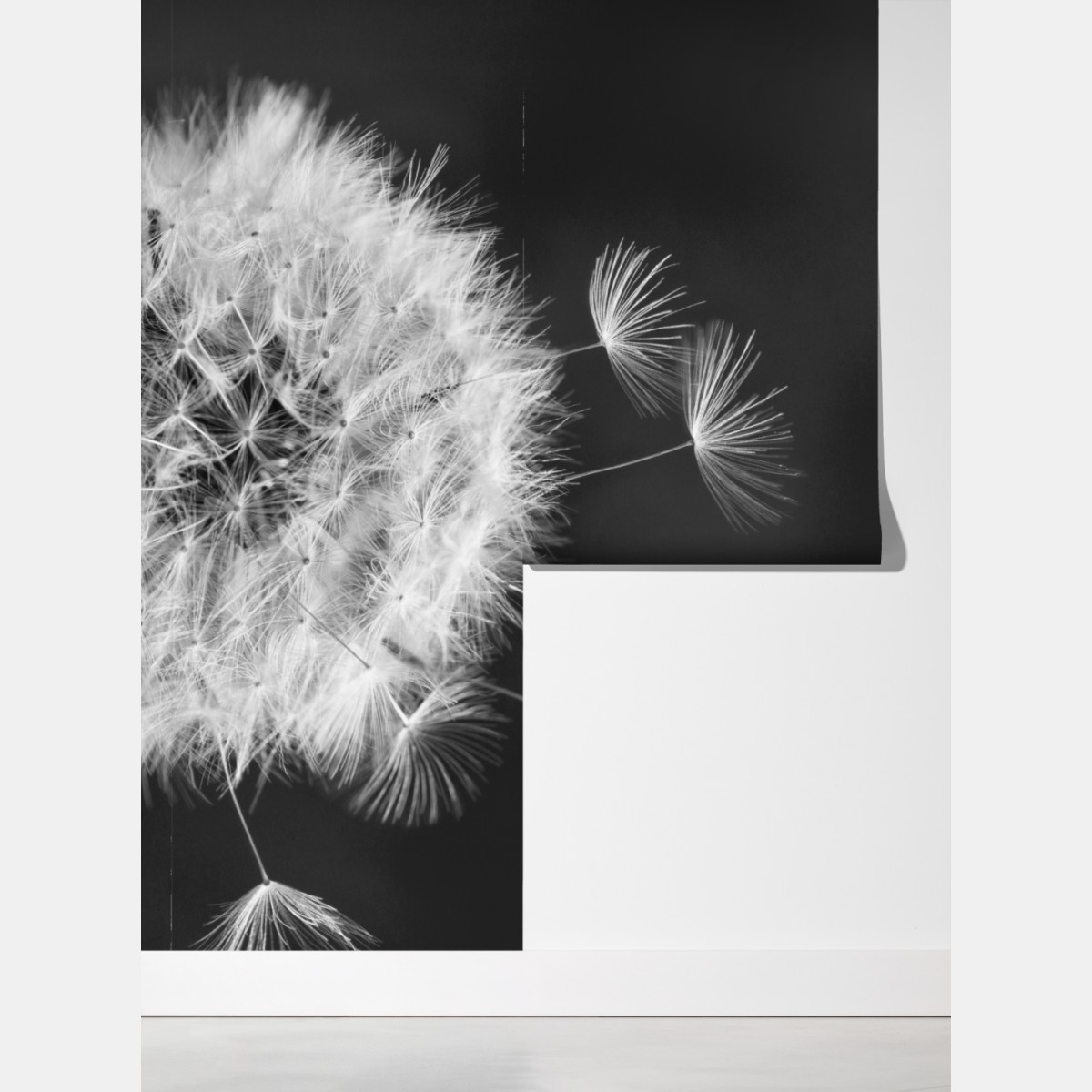 Fototapeta unoszące się nasiona mniszka – Wallissimo® Fototapeta unoszące się nasiona mniszka – Wallissimo®