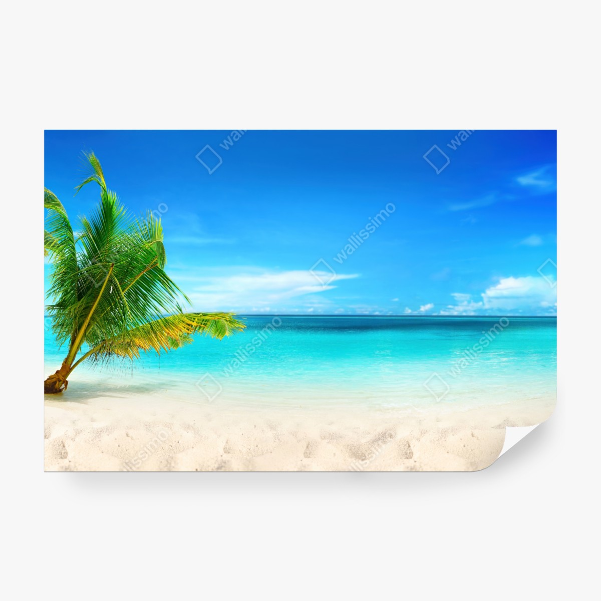 Fototapeta Malediwy turkusowa plaża panorama – Wallissimo® Fototapeta Malediwy turkusowa plaża panorama – Wallissimo®