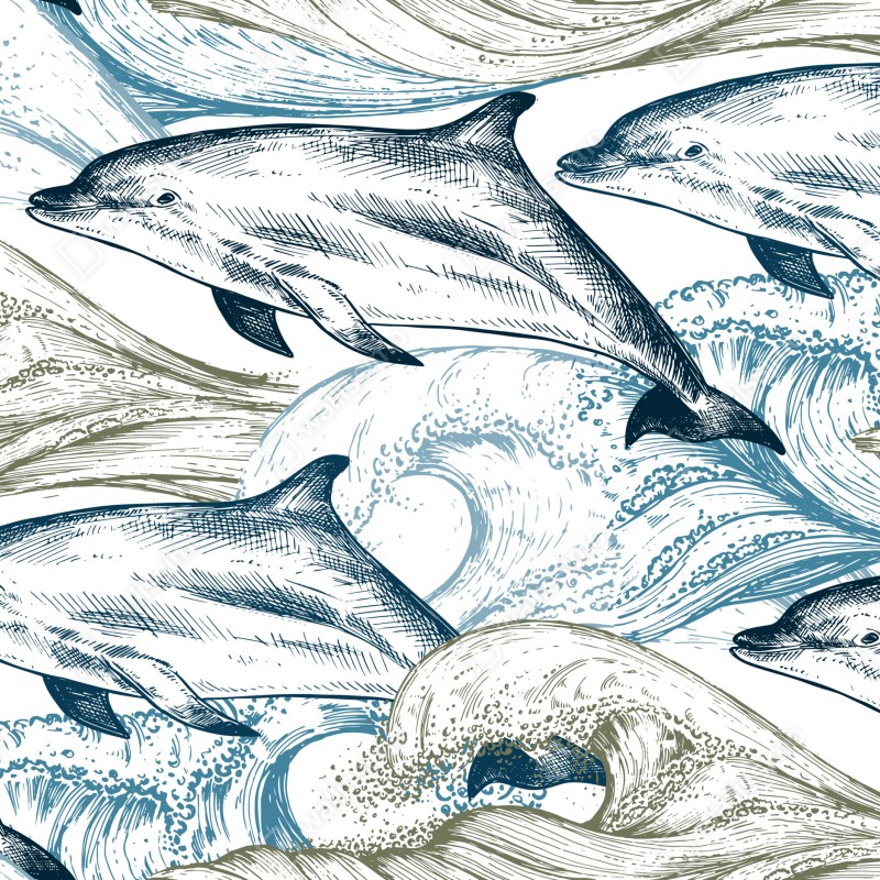 Fototapeta vintage delfiny oceaniczna ilustracja – Wallissimo® Fototapeta vintage delfiny oceaniczna ilustracja – Wallissimo®