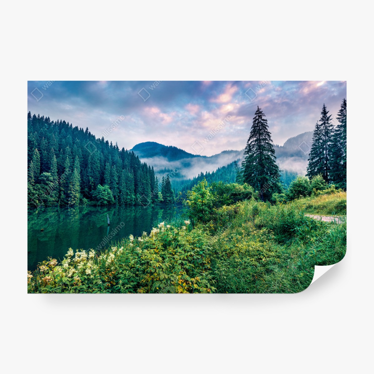 Fototapeta mglisty wschód słońca nad Lacu Rosu – Wallissimo® Fototapeta mglisty wschód słońca nad Lacu Rosu – Wallissimo®