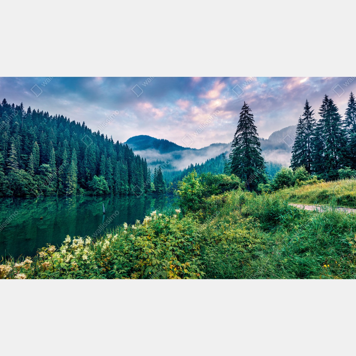 Fototapeta mglisty wschód słońca nad Lacu Rosu – Wallissimo® Fototapeta mglisty wschód słońca nad Lacu Rosu – Wallissimo®