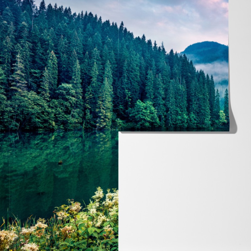 Fototapeta mglisty wschód słońca nad Lacu Rosu – Wallissimo® Fototapeta mglisty wschód słońca nad Lacu Rosu – Wallissimo®